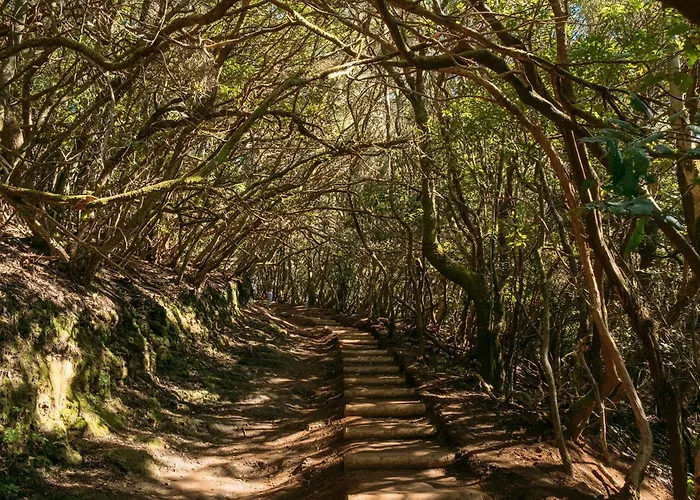 Mountain, Pool & Sea Пунта-дель-Идальго